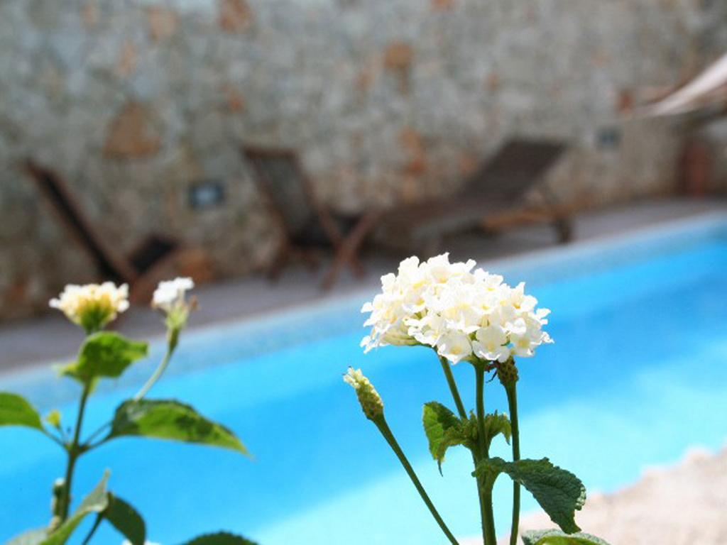Residence Quattrocolonne Santa Maria al Bagno Ruang foto